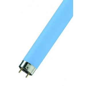 Лампа люм. Т8 18W G13 (синяя) Philips №02811
