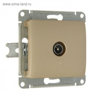 Розетка TV окон СП "Glossa" (титан) (1dB) GSL000491 SchE №08058