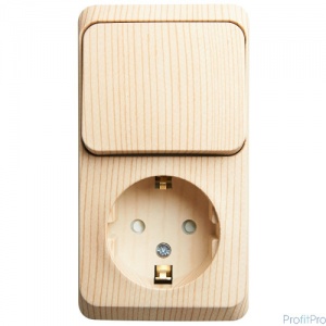 Блок ОП "Этюд" (1кл.выкл+розет ЕС) (сосна) №06482